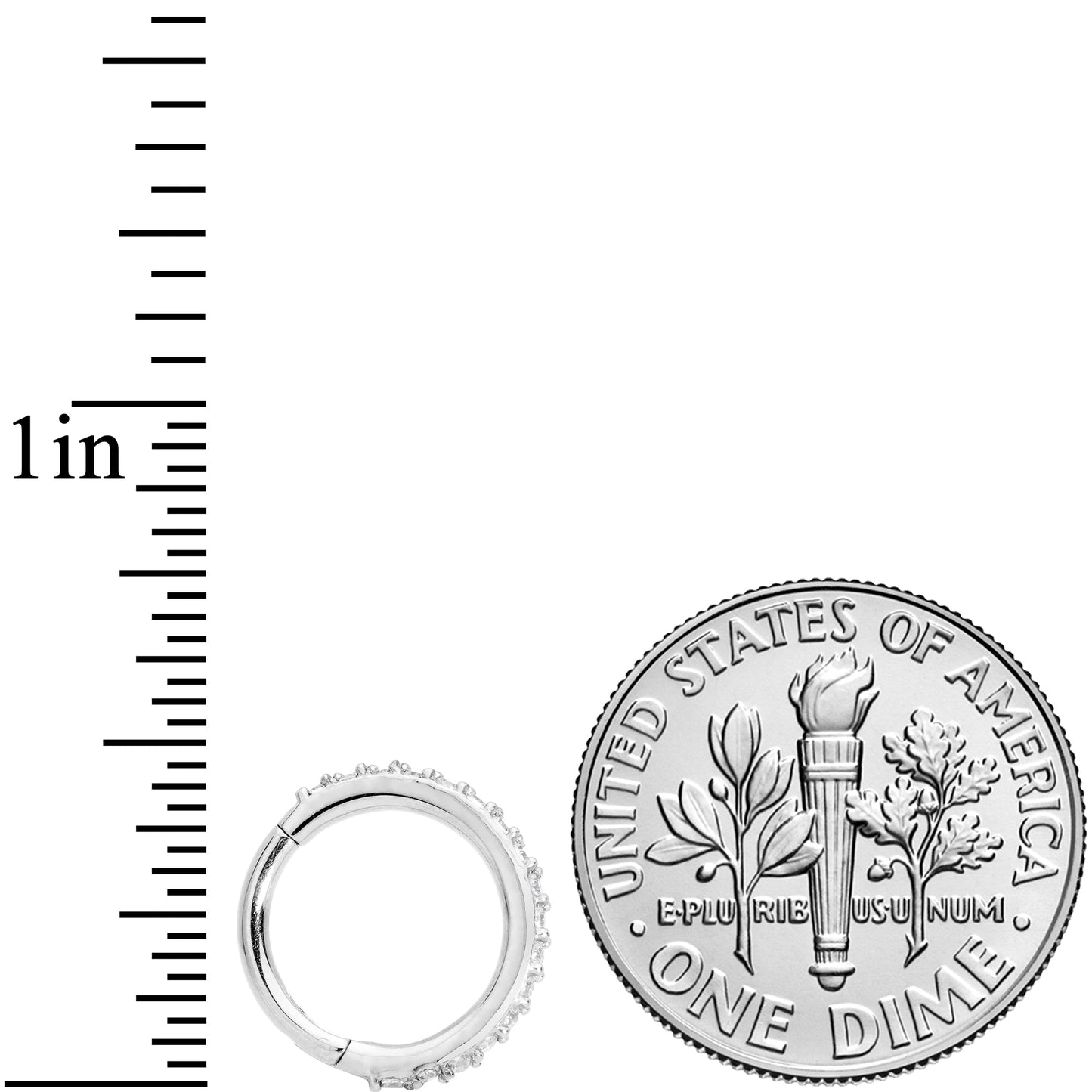 16G 5/16 Clear CZ Gem Stainless Steel Hinged Segment Ring