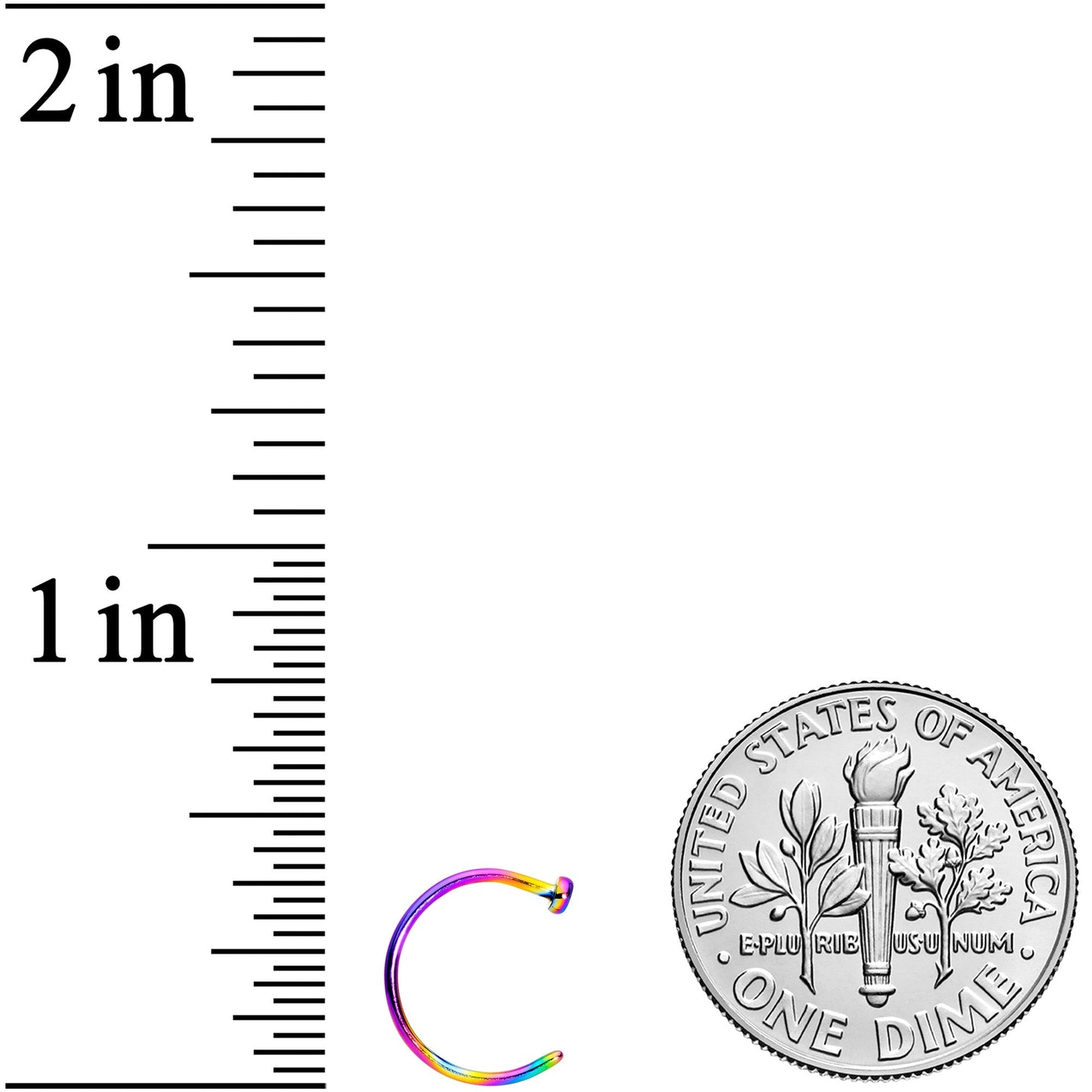 20G 5/16 Rainbow PVD Implant Grade Titanium Disc Nose Hoop