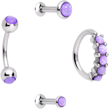 16G Purple Orb Septum Labret Cartilage Tragus Set of 4