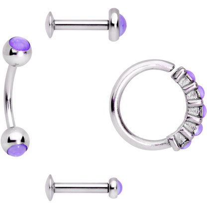 16G Purple Orb Septum Labret Cartilage Tragus Set of 4