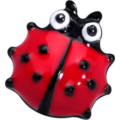 16G 1/4 Black Insect Ladybug Labret Monroe Tragus