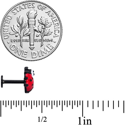 16G 1/4 Black Insect Ladybug Labret Monroe Tragus