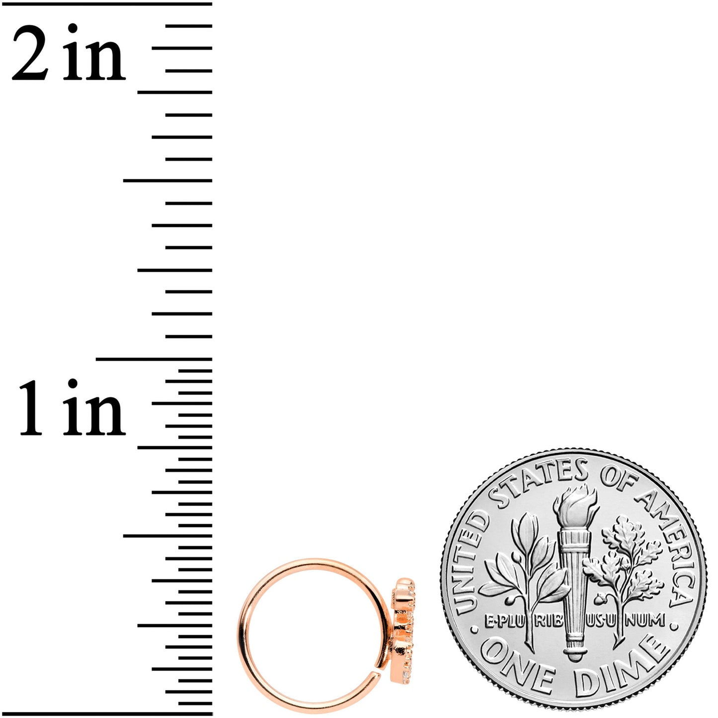 18G 3/8 Clear CZ Gem Rose Gold Tone Amazing Om Nose Hoop