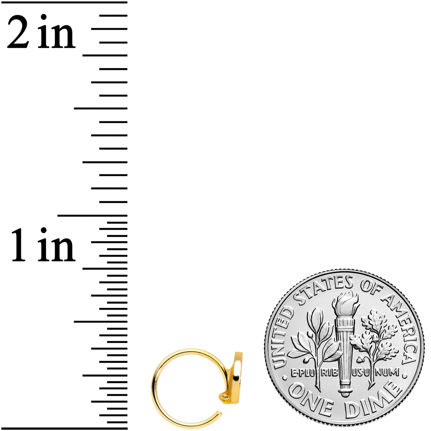 20G 5/16 Gold Tone Rainbow Grapefruit Nose Hoop