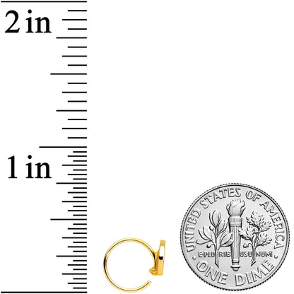 20G 5/16 Gold Tone Rainbow Grapefruit Nose Hoop