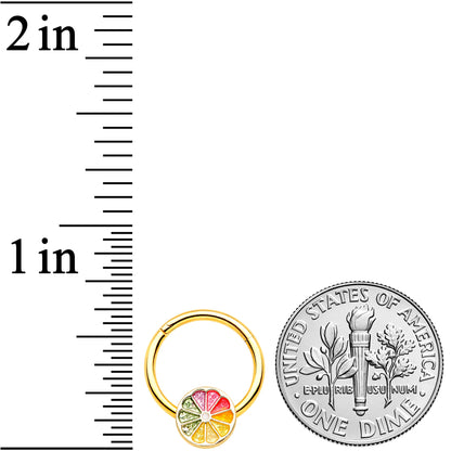 16G 3/8 Gold Tone Rainbow Grapefruit Septum Ring