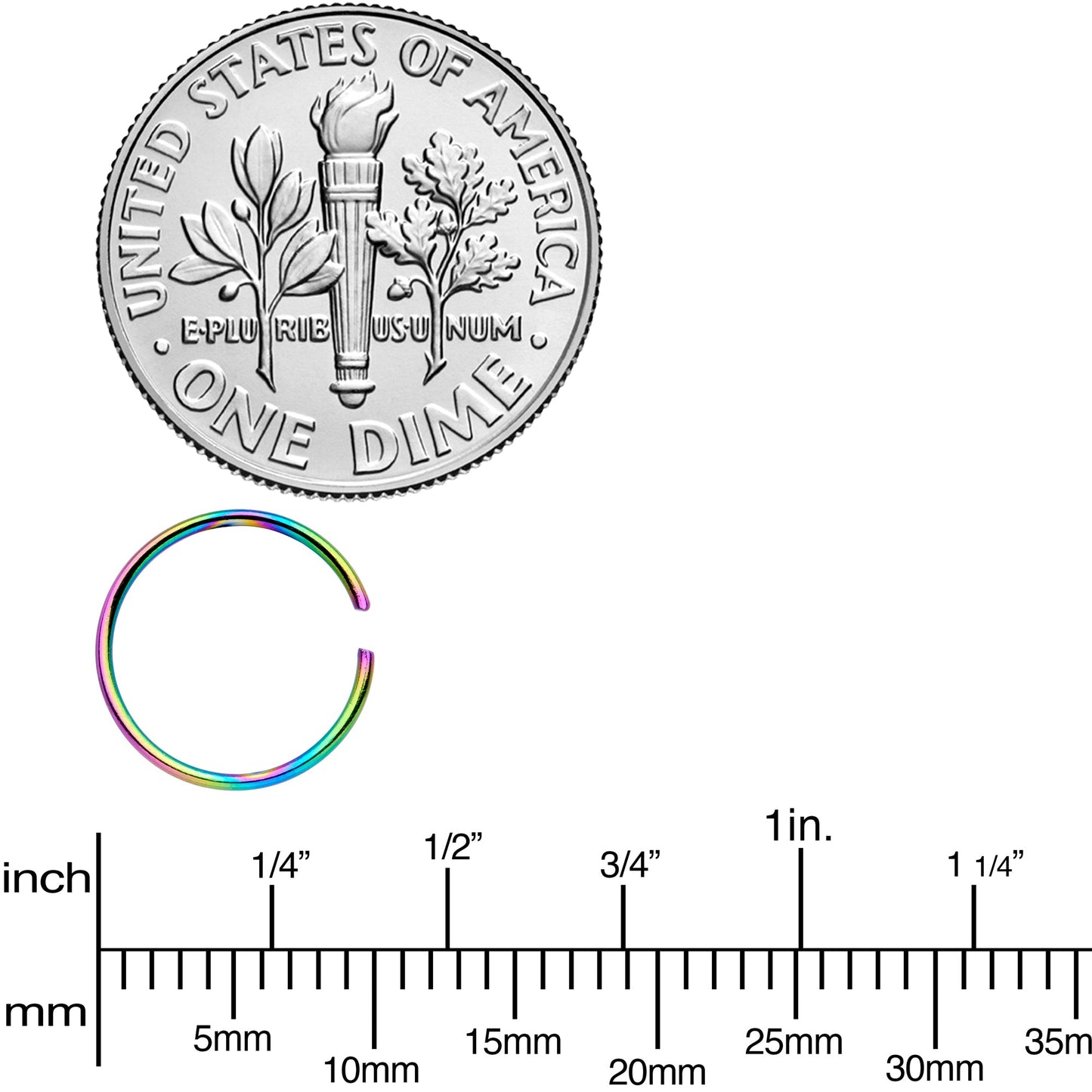 22G 5/16 Rainbow Anodized Seamless Nose Hoop Set of 12