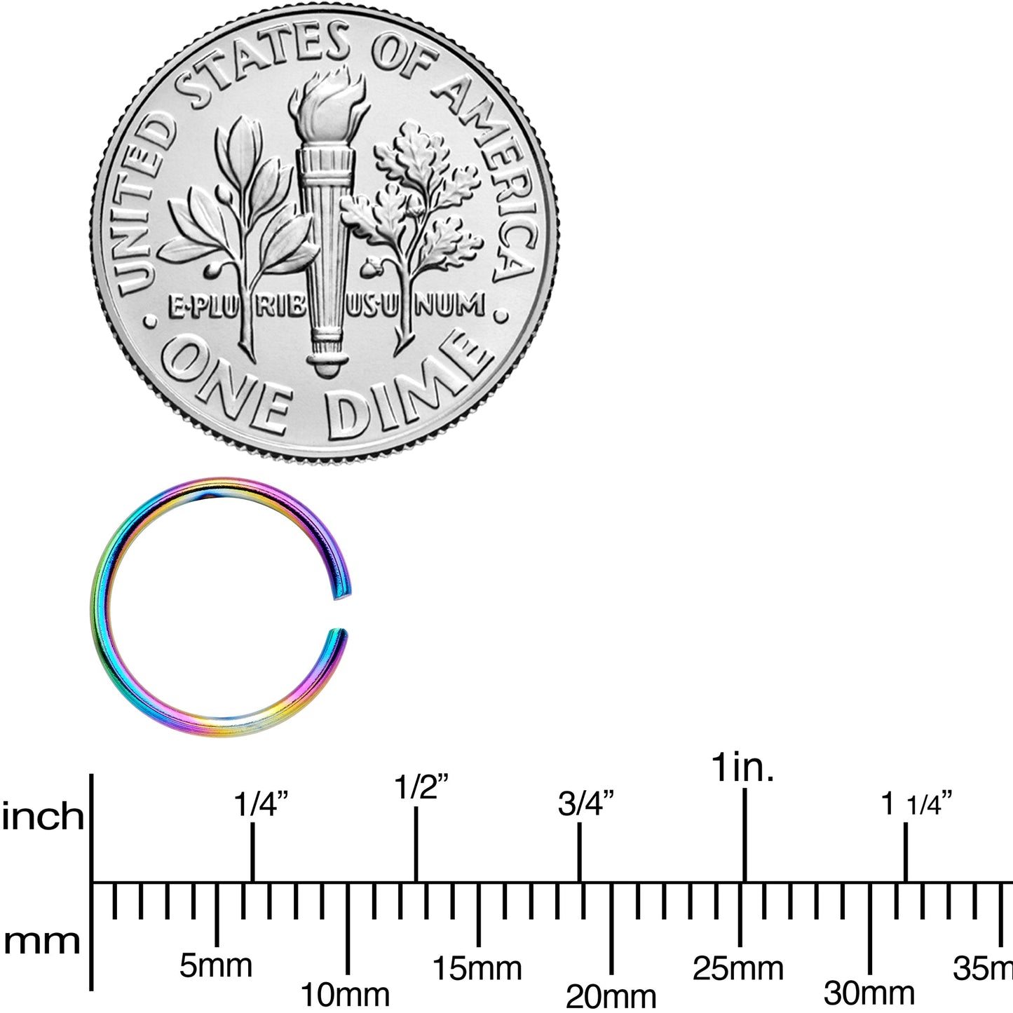 20G 5/16 Rainbow Anodized Seamless Nose Hoop Set of 12