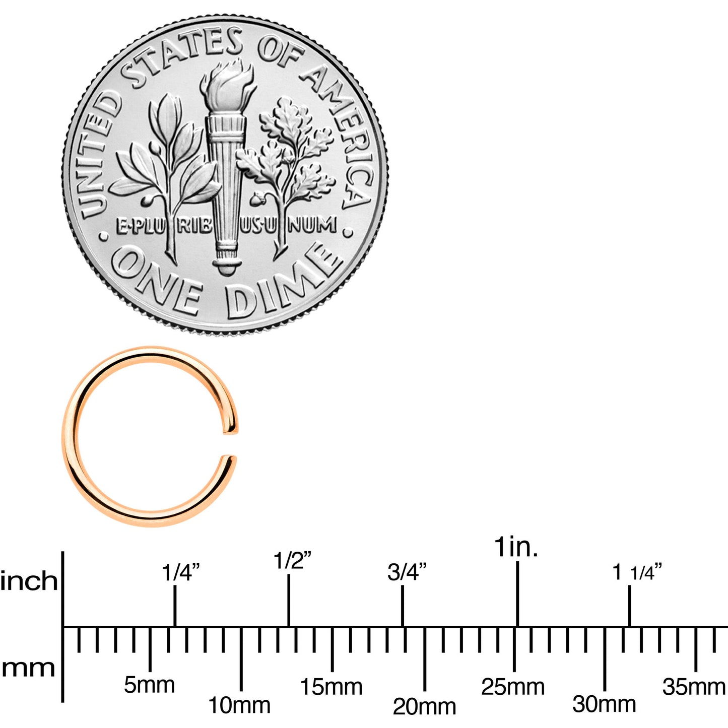 18G 5/16 Rose Gold Tone Anodized Seamless Circular Ring Set of 12