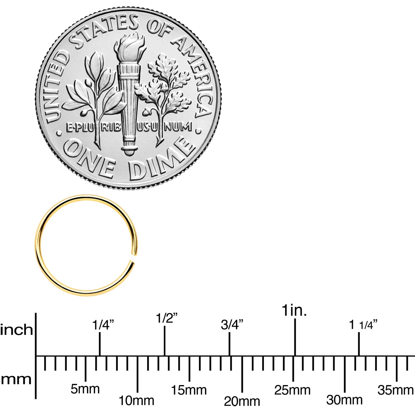 22G 5/16 Black Gold Tone Anodized Seamless Circular Ring Set of 12