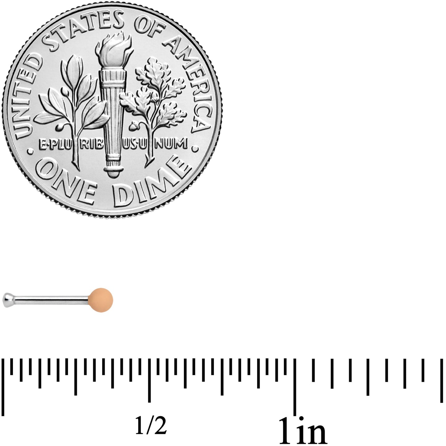 20G 1/4 Tan Matte 2mm Nose Bone