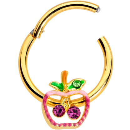 16G 3/8 Pink Purple Gem Gold Hue Apple Cherry Hinged Segment Ring