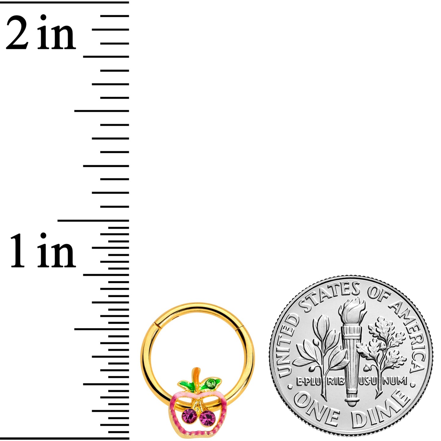 16G 3/8 Pink Purple Gem Gold Hue Apple Cherry Hinged Segment Ring