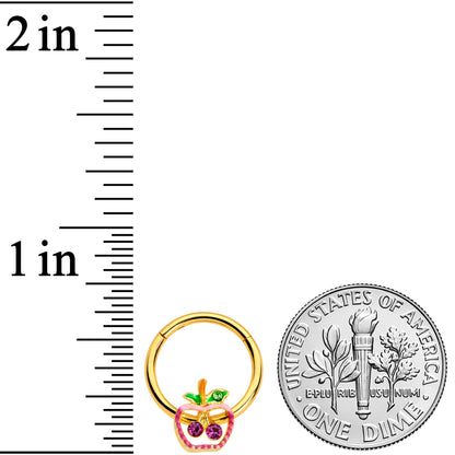 16G 3/8 Pink Purple Gem Gold Hue Apple Cherry Hinged Segment Ring