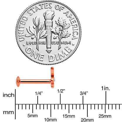 16G 5/16 Licensed Playboy CZ Rose Gold Tone Internal Thread Labret