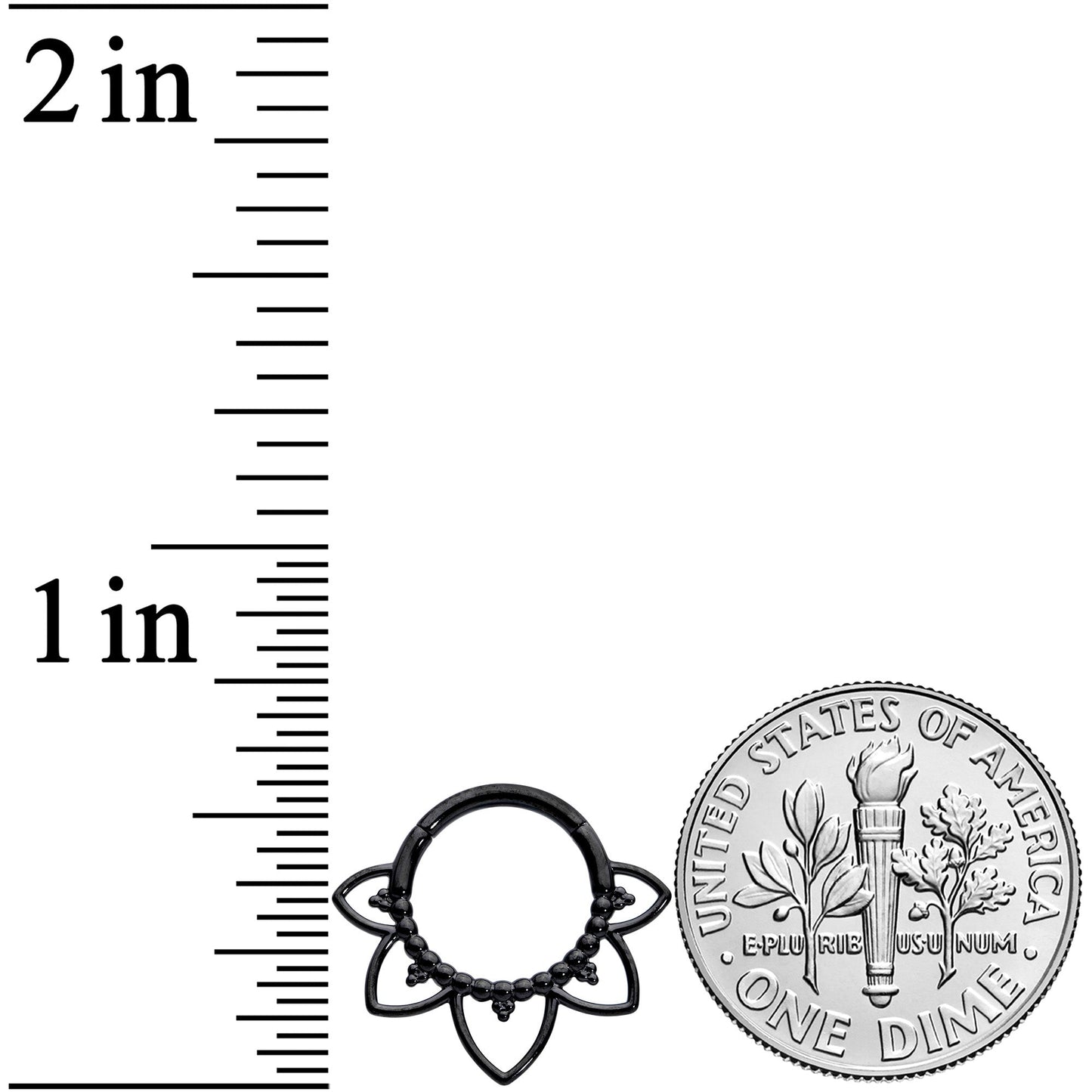 16G 5/16 Black Open Petal Flower Hinged Segment Ring