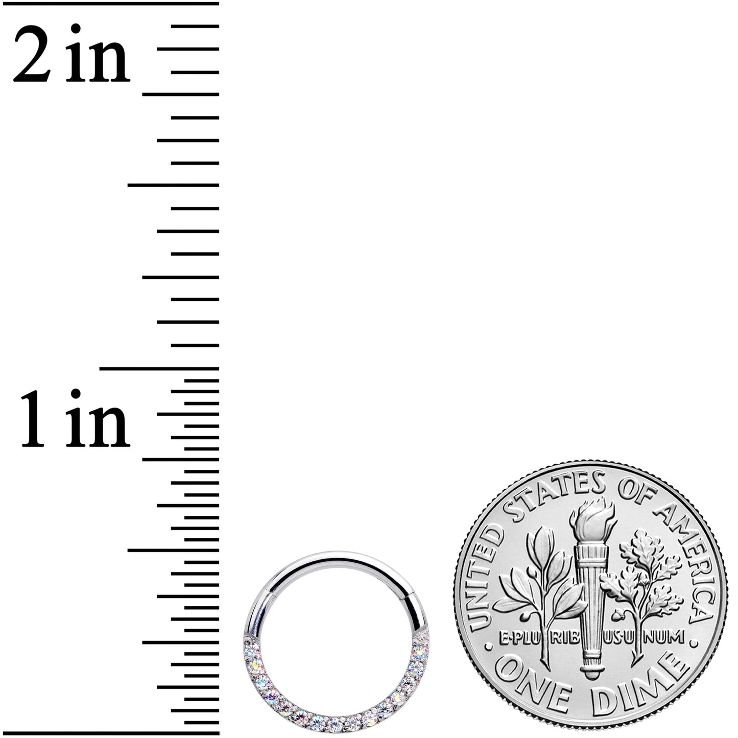 16G 3/8 Aurora Gem Paved Elegance Hinged Segment Ring