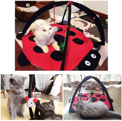 Black Ladybug Cat Play Mat
