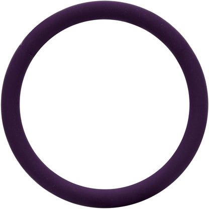 18G 3/8 Dark Purple Matte Cartilage Hinged Segment Ring