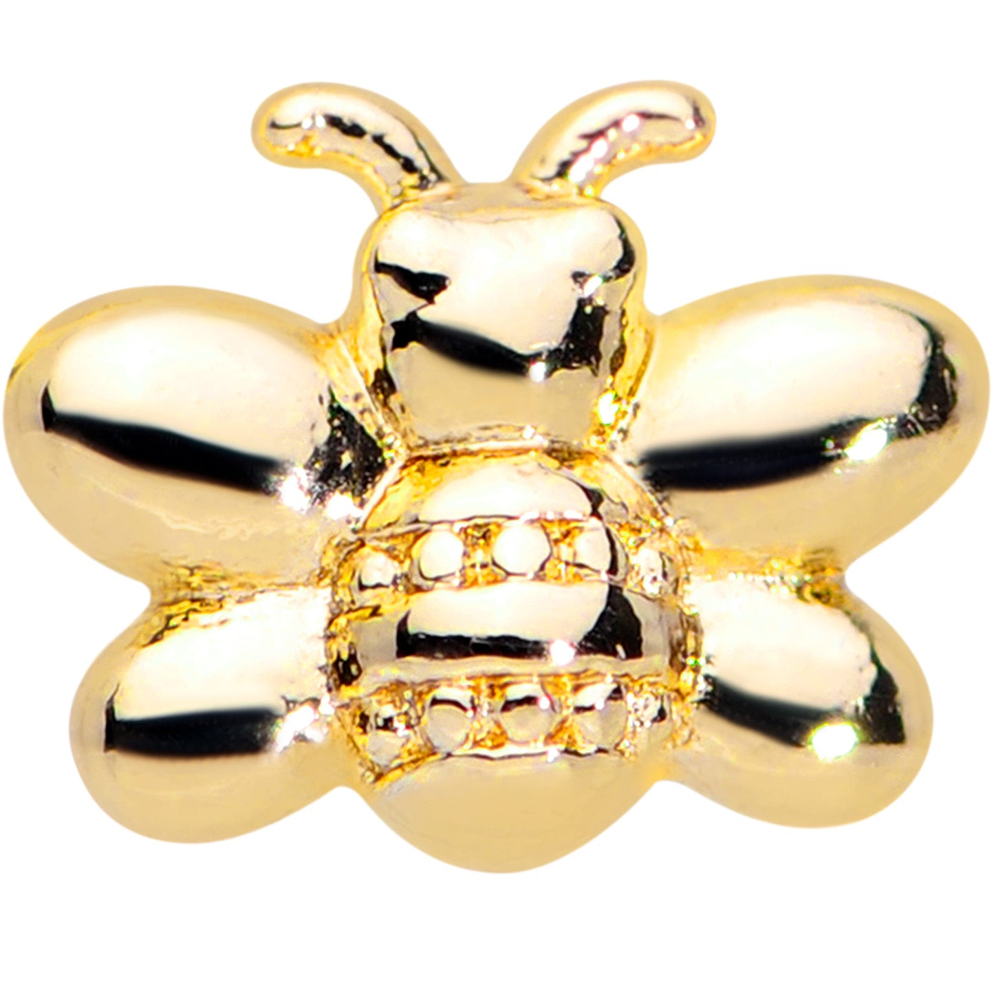 16G 5/16 Gold Tone Simply Stylish Bee Labret Monroe Tragus