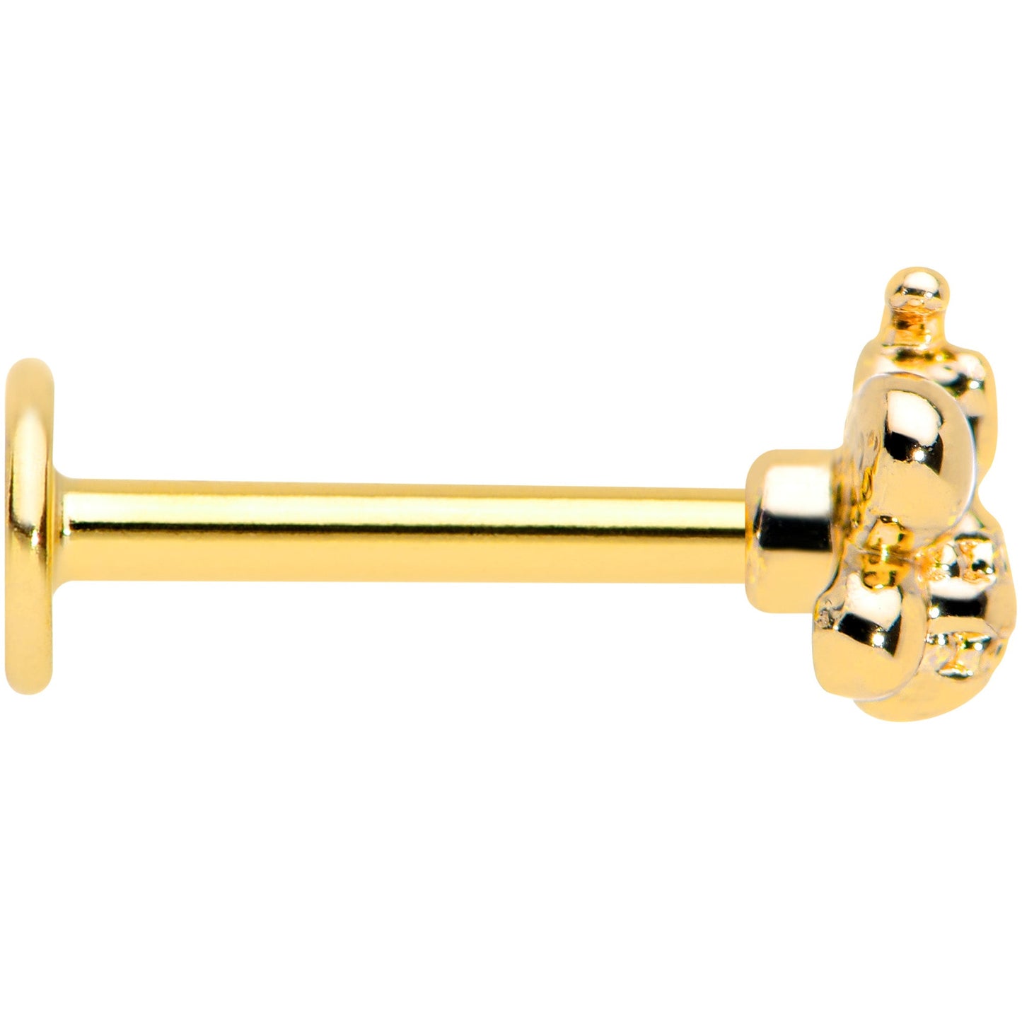 16G 5/16 Gold Tone Simply Stylish Bee Labret Monroe Tragus