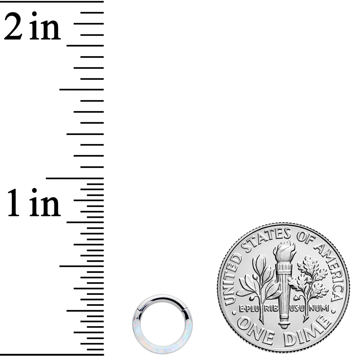 16G 1/4 White Synthetic Opal Implant Grade Titanium Segment Ring