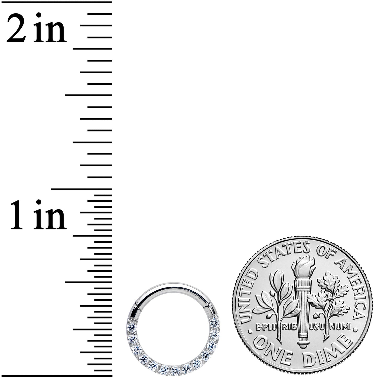 14G 3/8 Clear CZ Gem G23 Titanium Paved Hinged Segment Ring