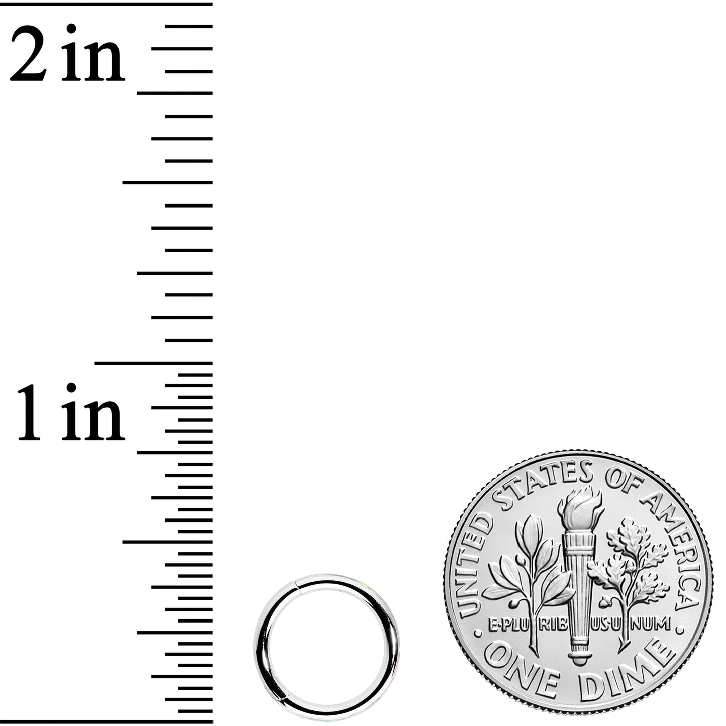 16G 5/16 White Synthetic Opal Forward Facing Hinged Segment Ring