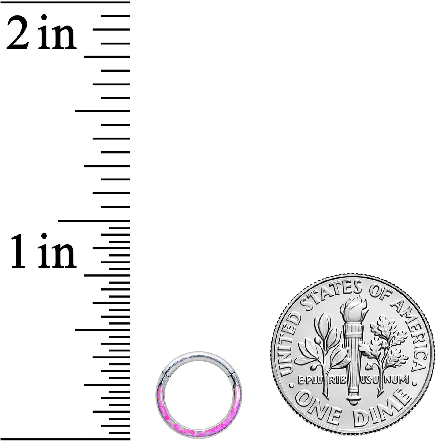 16G 5/16 Pink Synthetic Opal Bottom Curve Hinged Segment Ring