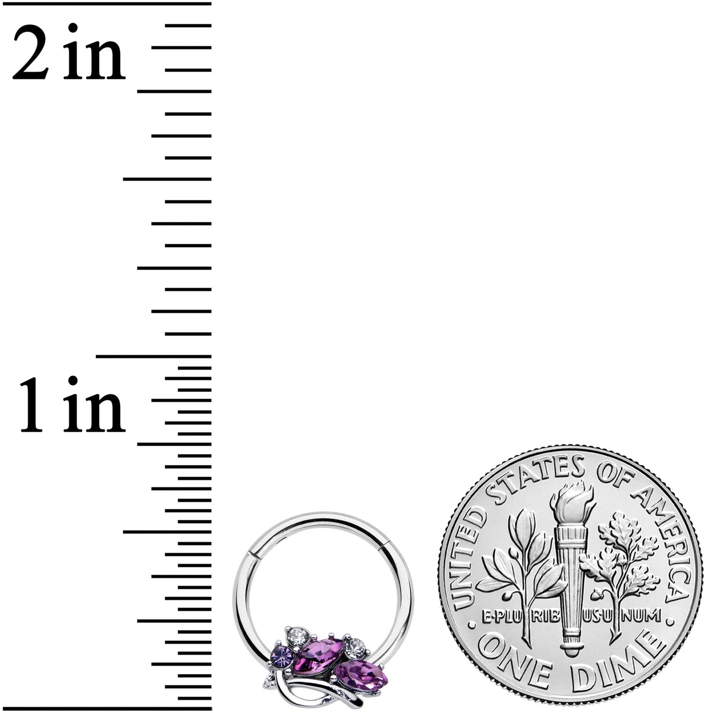 16G 3/8 Purple Gem Abstract Elegance Hinged Segment Ring