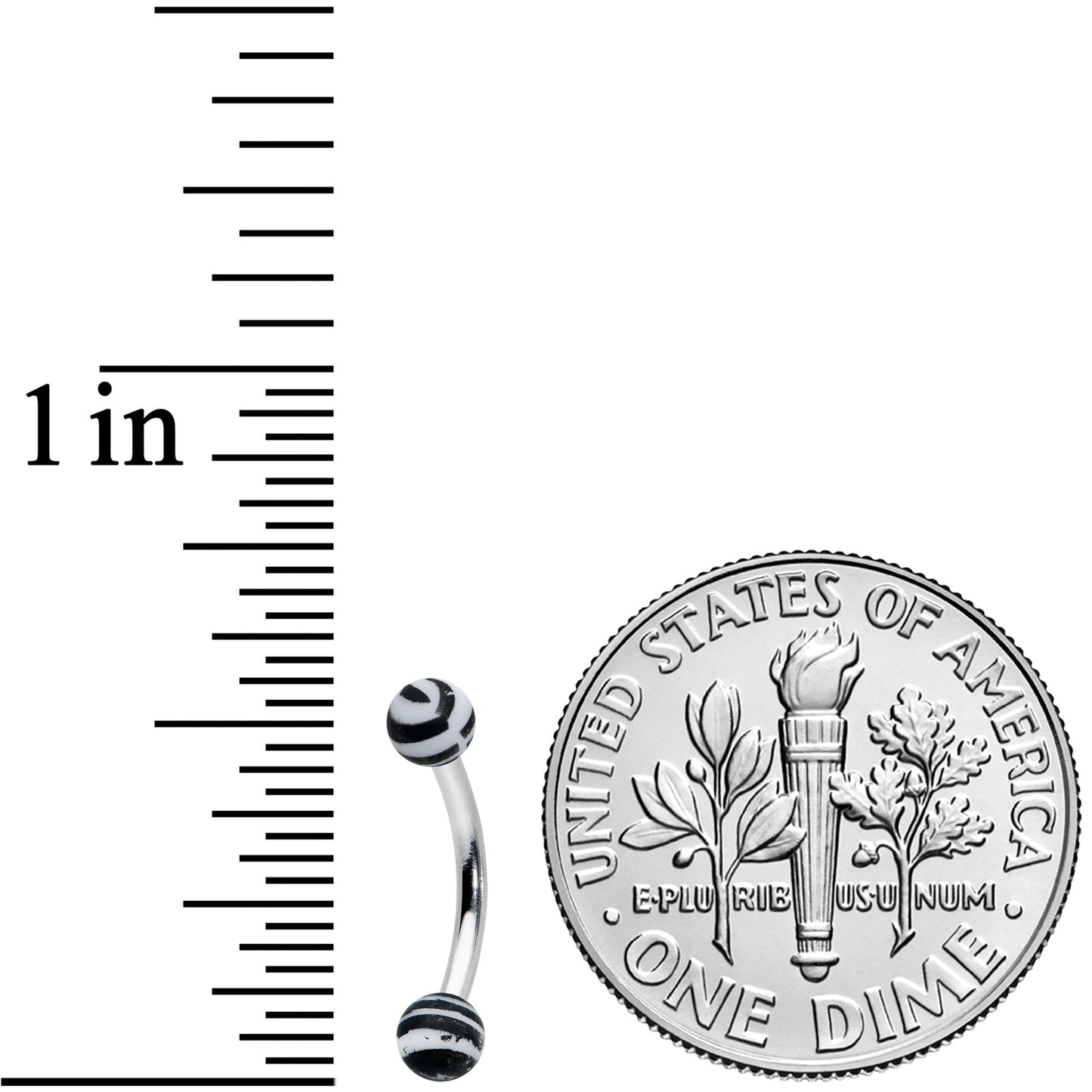 16G 5/16 Matte White Zebra Stripe Curved Eyebrow Ring