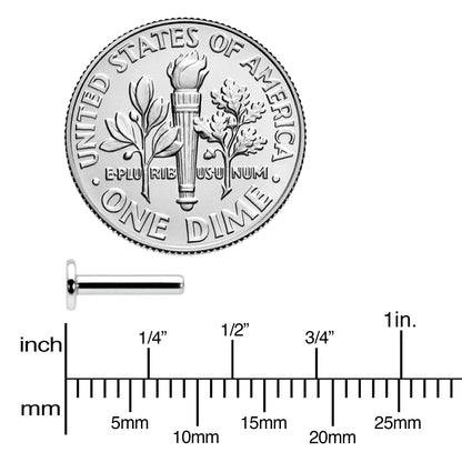 14G 5/16 G23 Titanium Threadless Post Only Labret Monroe Tragus