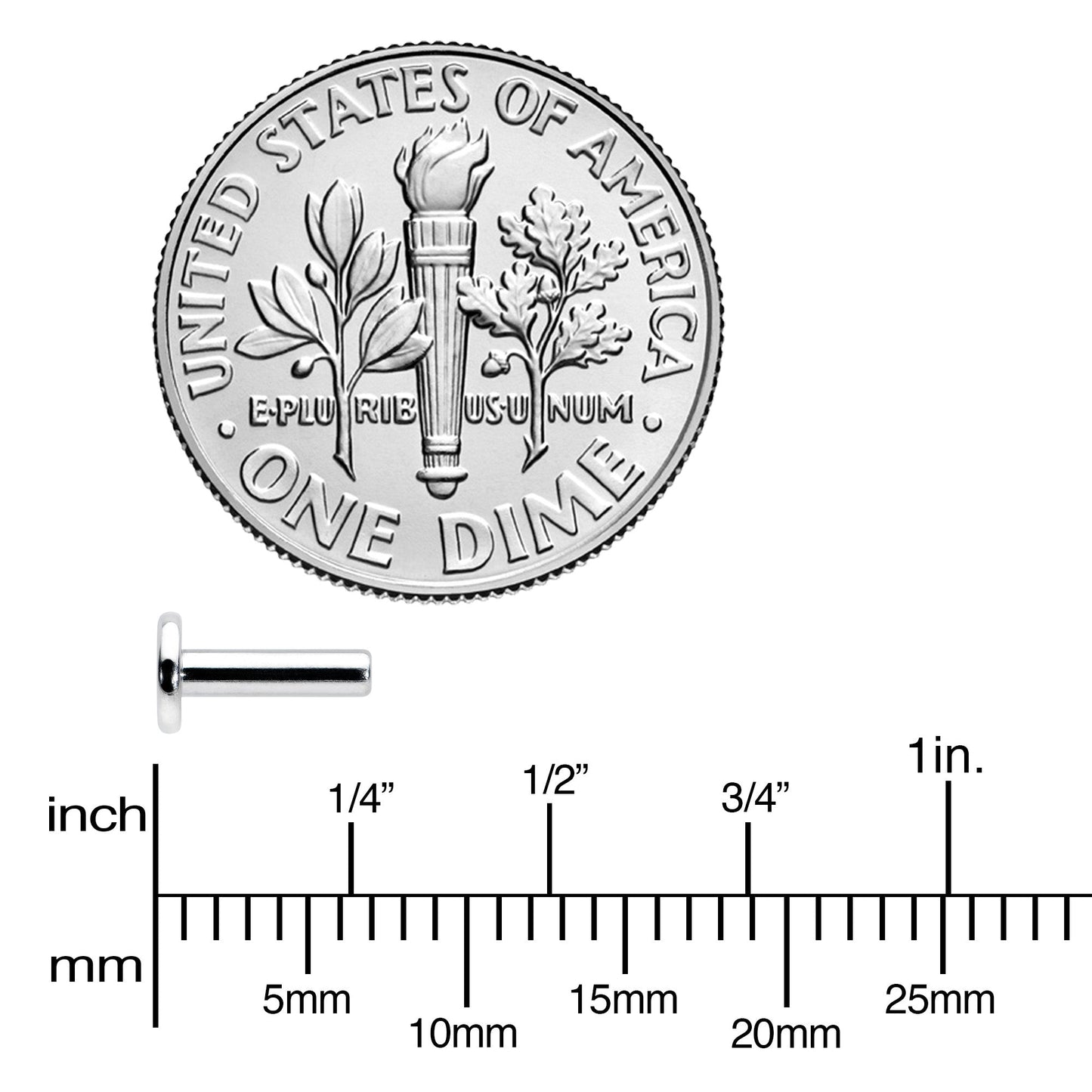 14G 1/4 G23 Titanium Threadless Post Only Labret Monroe Tragus