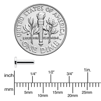 14G 1/4 G23 Titanium Threadless Post Only Labret Monroe Tragus