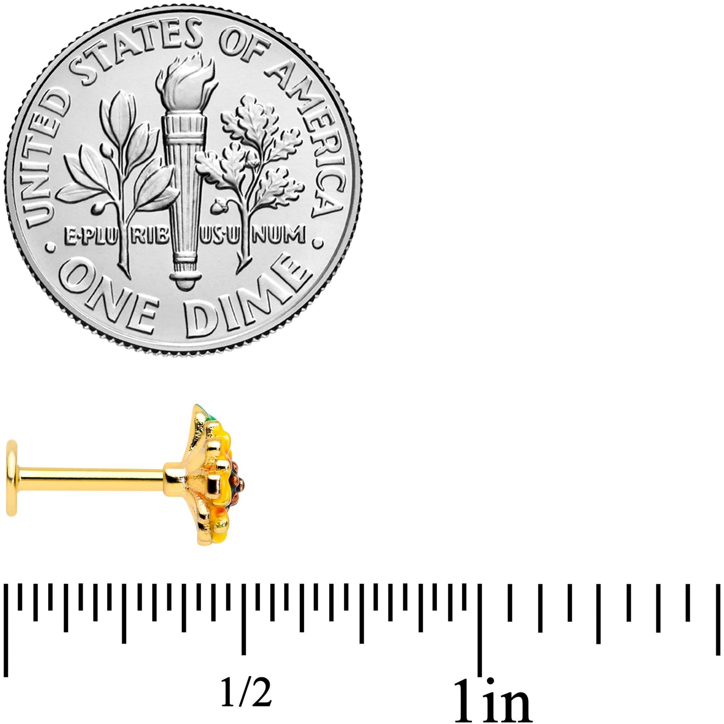 16G 5/16 Gold Tone Summer Sunflower Labret Monroe Tragus