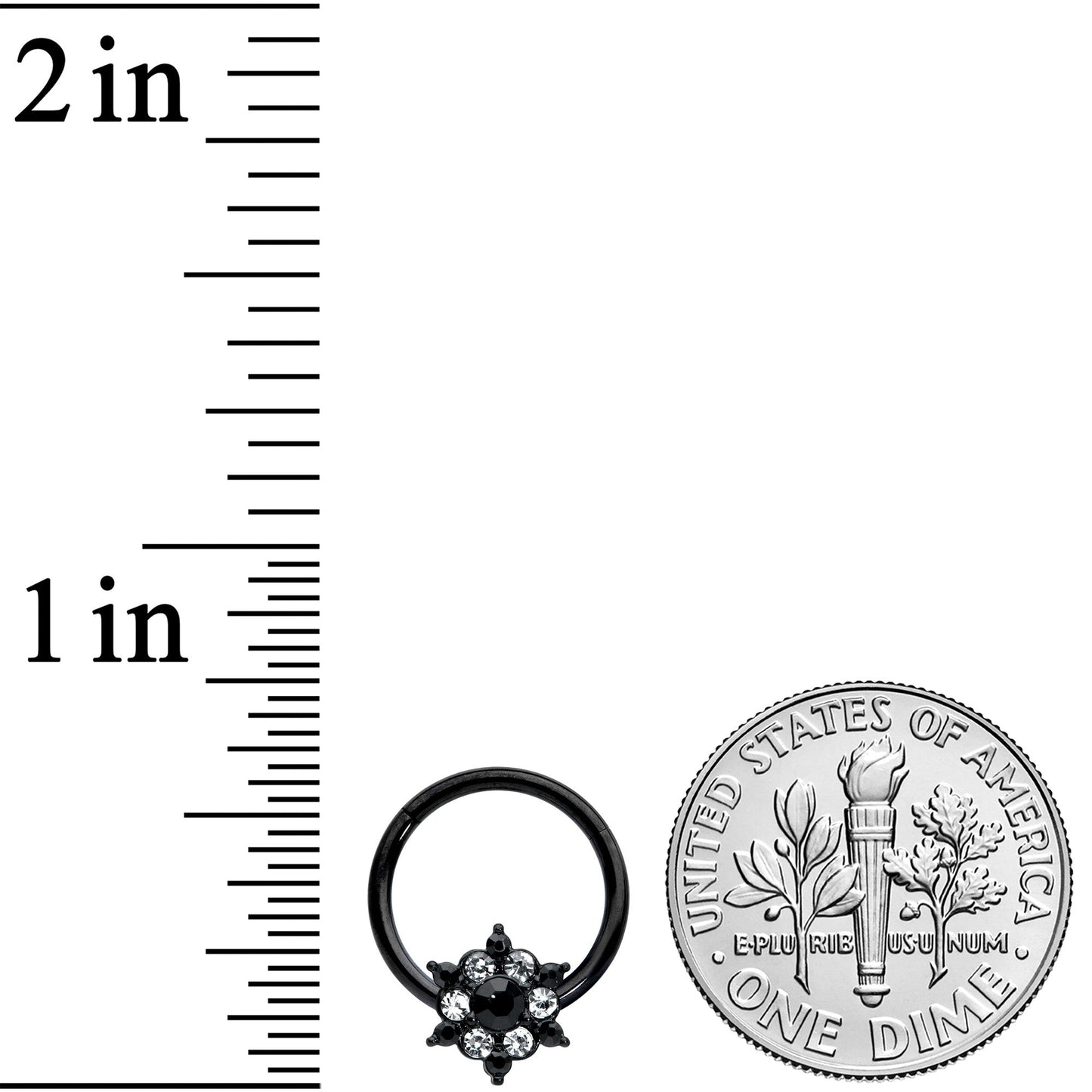 16G 3/8 Clear CZ Gem Black Abstract Sun Hinged Segment Ring