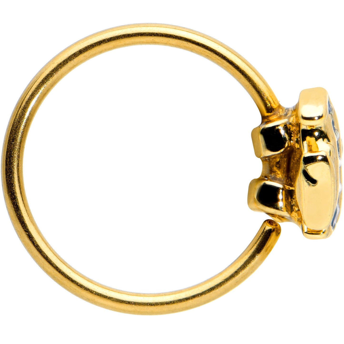 20G 5/16 Gold Tone Blue Adorable Angelfish Nose Hoop