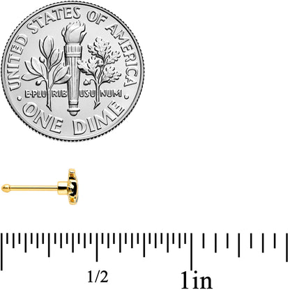 20G 1/4 Blue Gem Gold Tone Adorable Angelfish Nose Bone