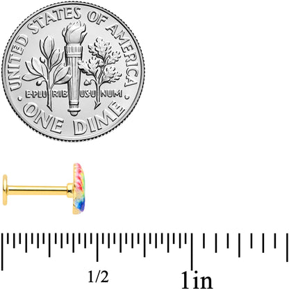 16G 5/16 Gold Tone Rainbow Scallop Shell Labret Monroe Tragus