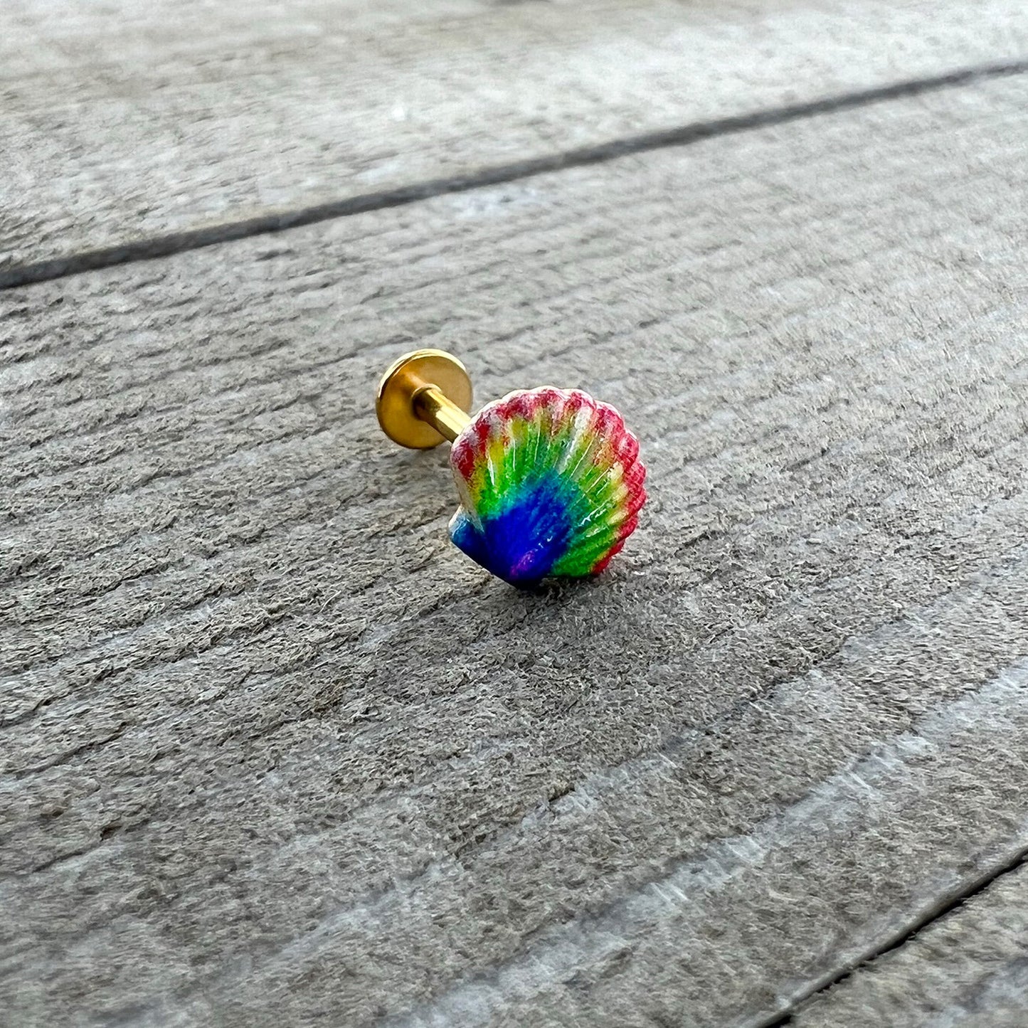16G 5/16 Gold Tone Rainbow Scallop Shell Labret Monroe Tragus
