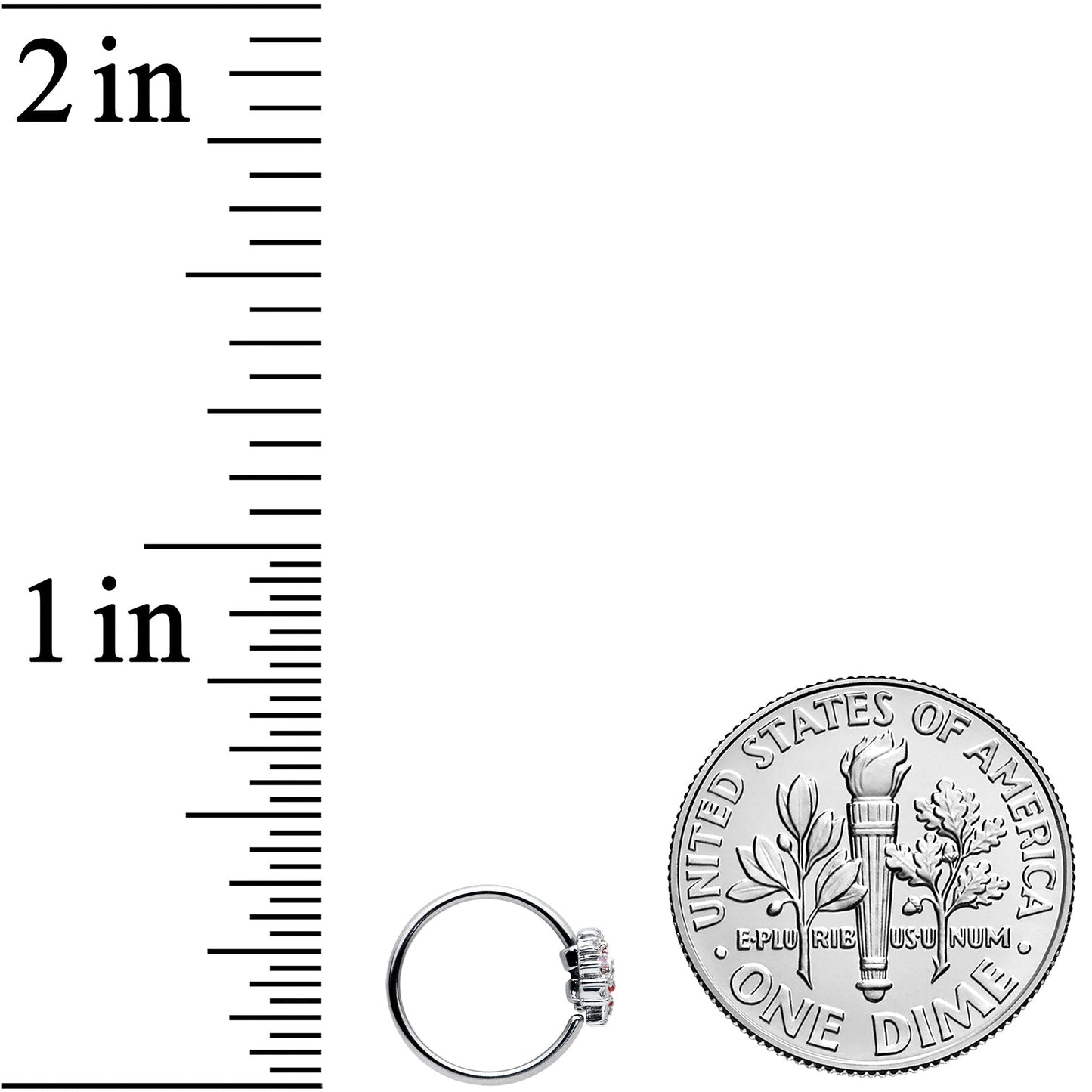 20G 5/16 Luscious Pinks Fruit Tree Nose Hoop