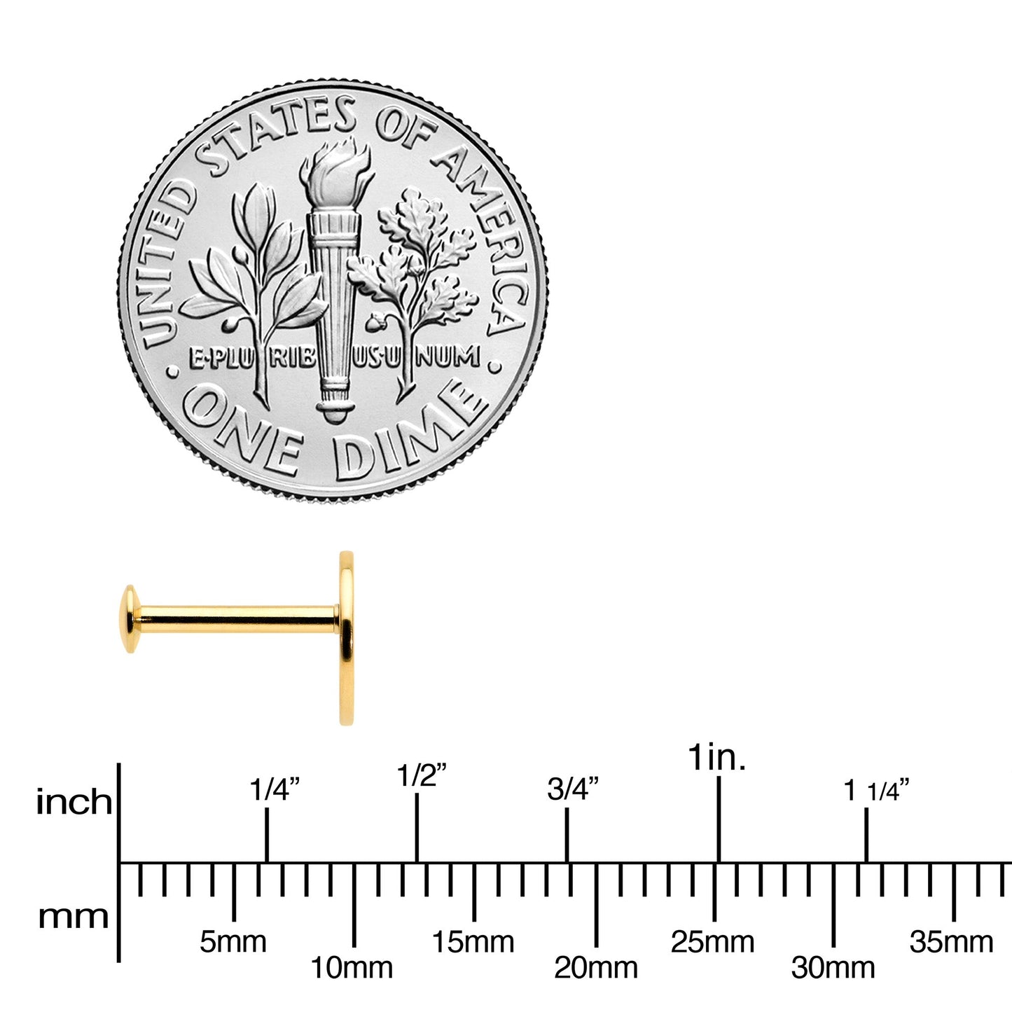 16G 5/16 Gold Tone Tree Circle Internal Thread Labret Monroe Tragus