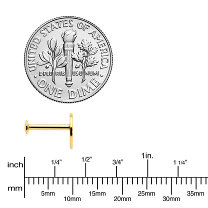 16G 5/16 Gold Tone Tree Circle Internal Thread Labret Monroe Tragus