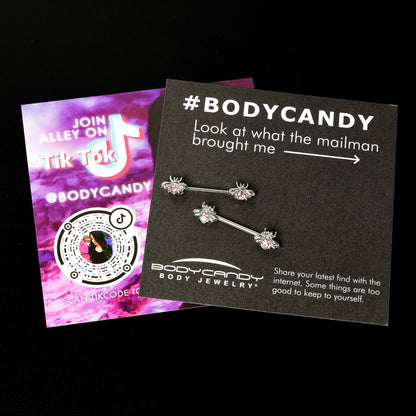 14G 9/16 Pink Gem Bee Beautiful Insect Barbell Nipple Ring Set