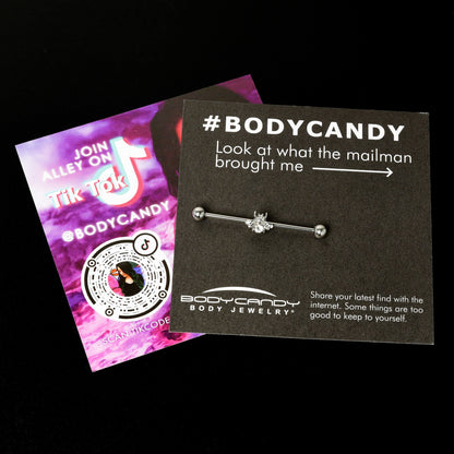 14G Clear Gem Bee Beautiful Insect Industrial Barbell 38mm