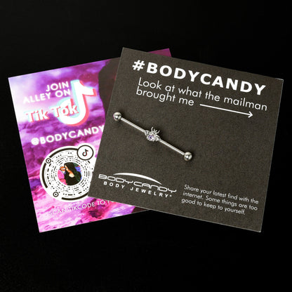 14G Purple Gem Bee Beautiful Insect Industrial Barbell 38mm