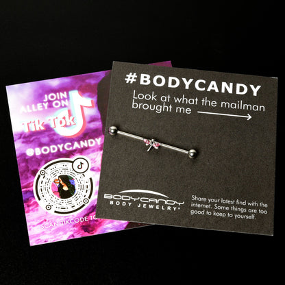 14G Pink Gem Simple Stylized Dragonfly Industrial Barbell 38mm