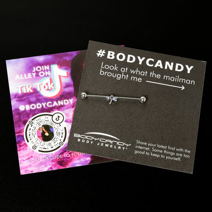 14G Purple Gem Simple Stylized Dragonfly Industrial Barbell 38mm