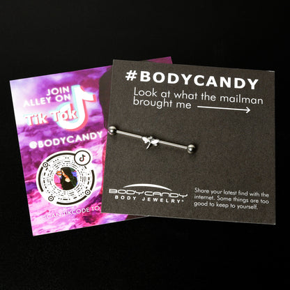 14G White Faux Opal Simple Style Dragonfly Industrial Barbell 38mm