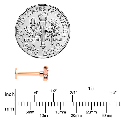 16G 5/16 Clear Gem Rose Gold Tone Opulent Butterfly Labret Tragus